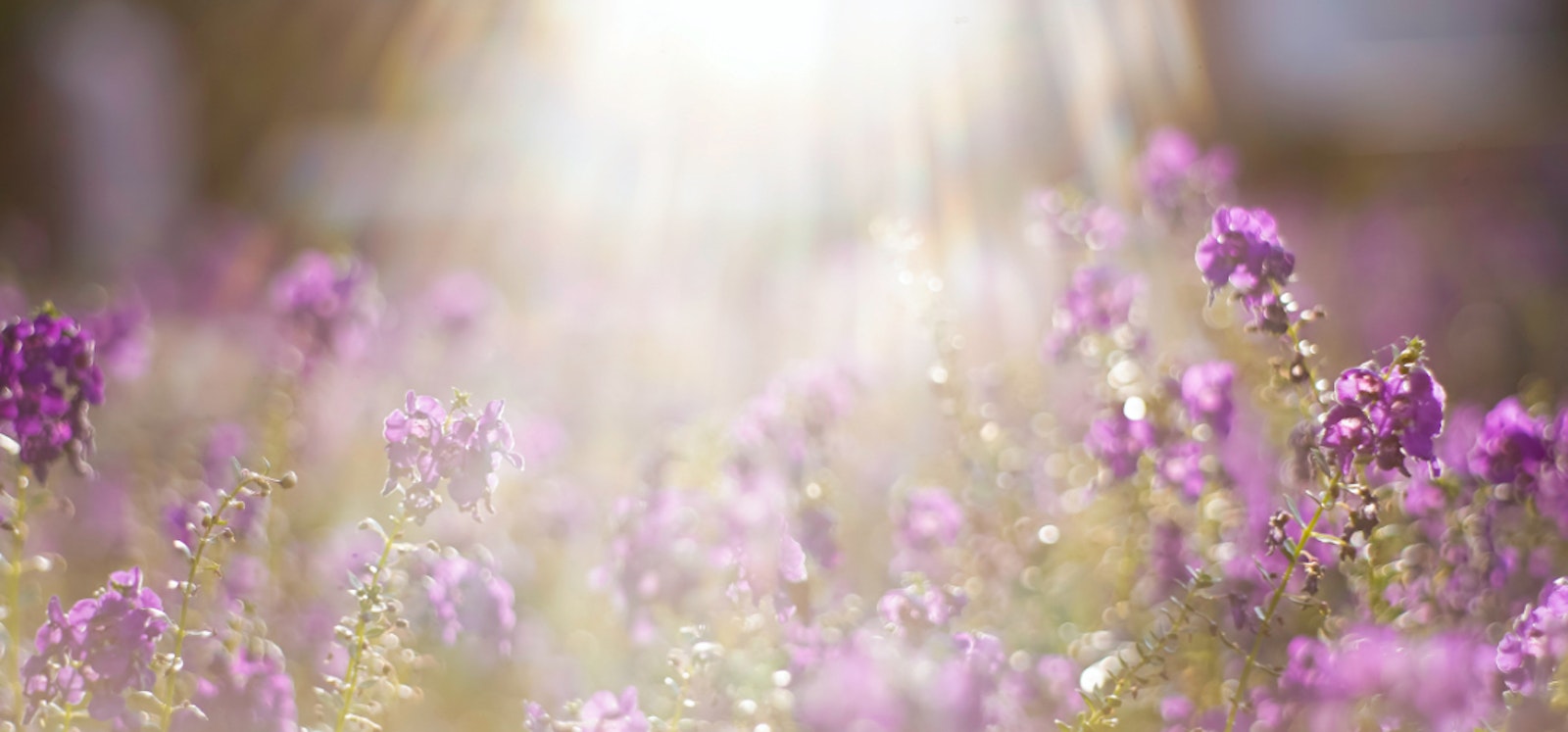 thematic-area-tile-3-god-his-creation